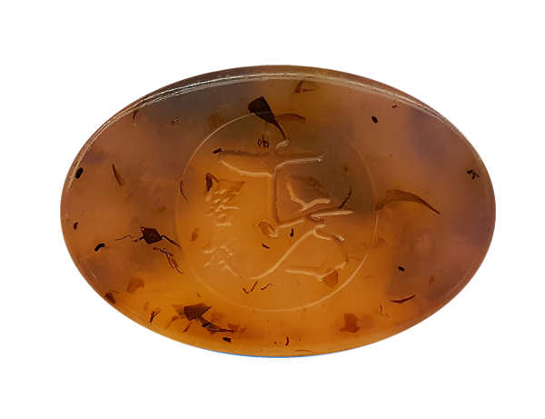 玫 瑰 2