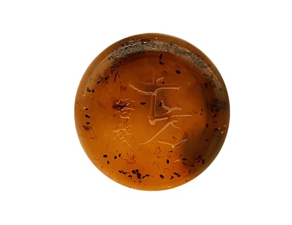 玫 瑰 3